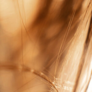 Elevae_0325_10974 (1)