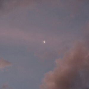 Elevae_0625_12346