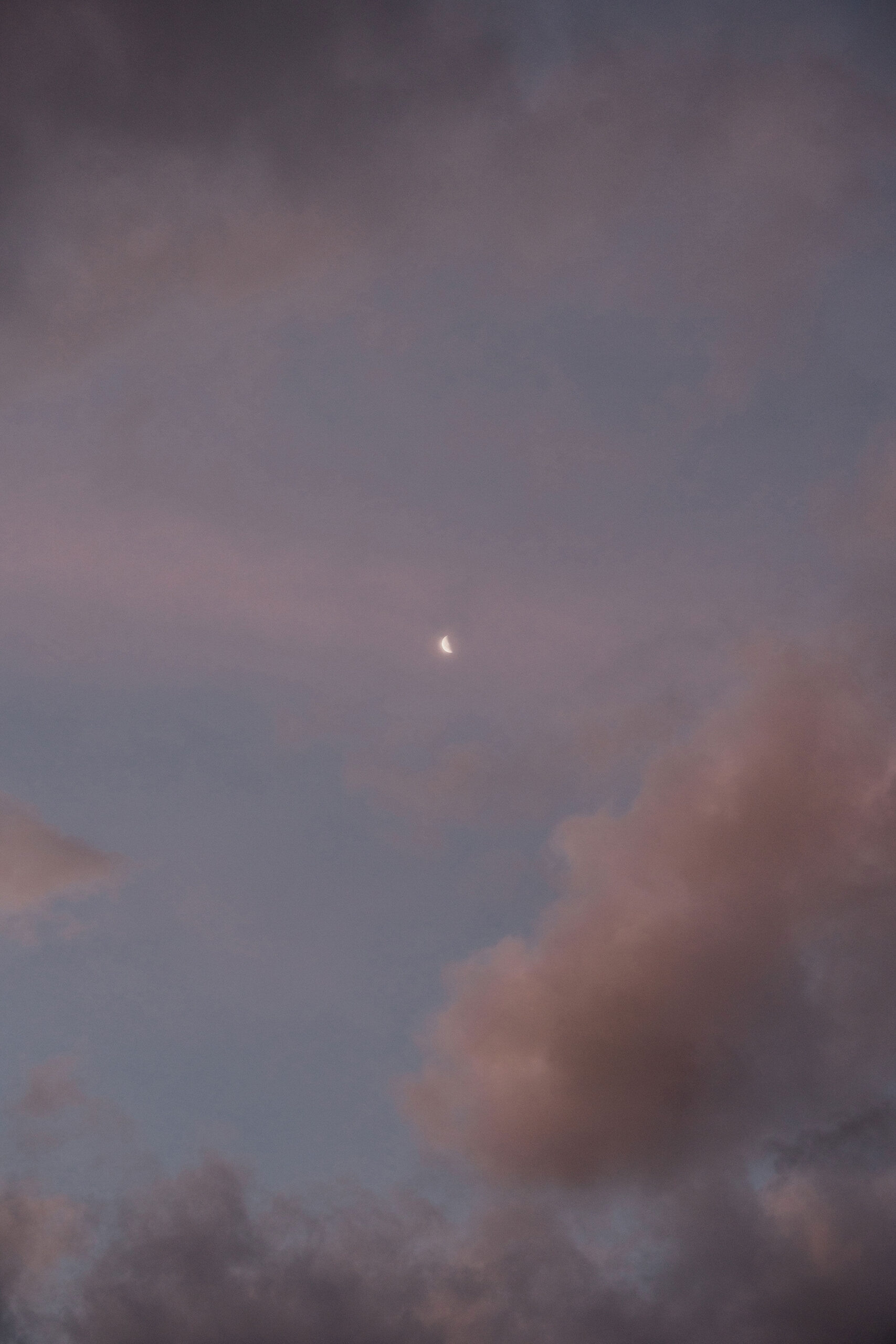 Elevae_0625_12346