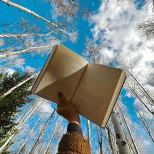 Elevae_1224_10392 (1)