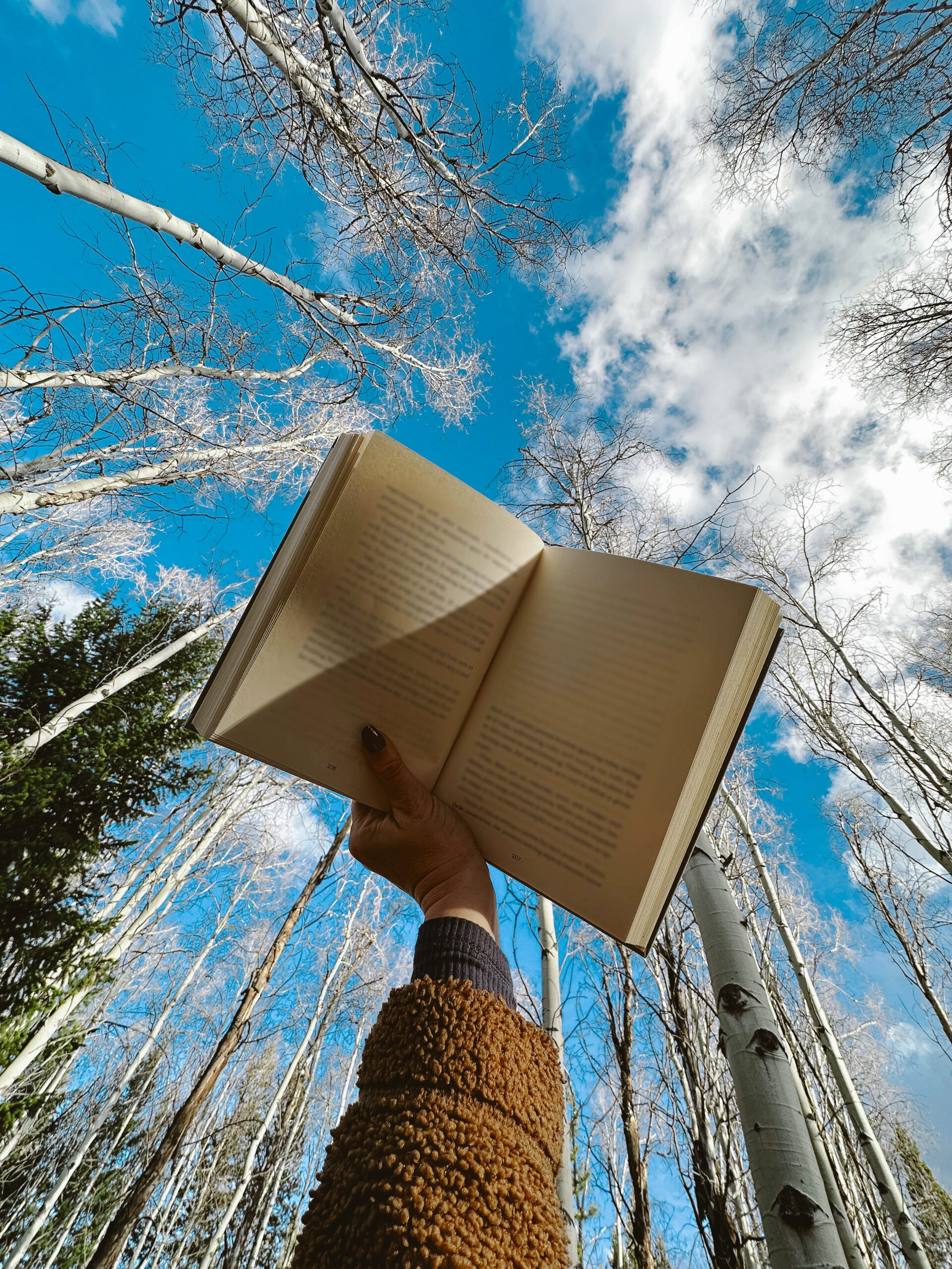 Elevae_1224_10392 (1)