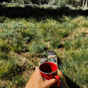 Elevae_1224_10393 (1)