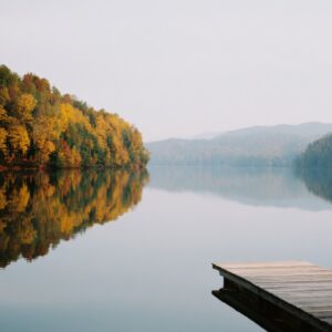 Elevae_1025_140196