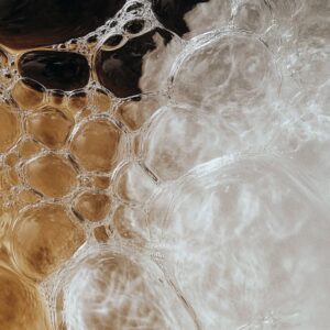 Elevae_0226_140462