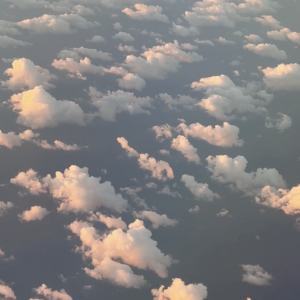 Elevae_0326_140698