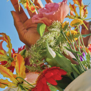 001750626__ELEVAE_Roberta