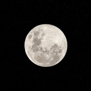 003130626__ELEVAE_mila