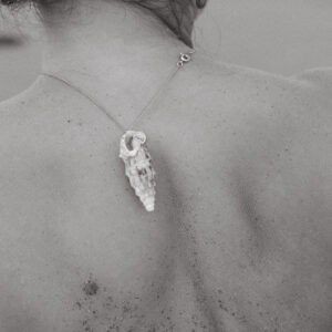 003180626__ELEVAE_polina