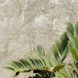 Elevae_0326_140639