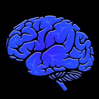 Logo of {{ company.company }}