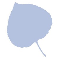 Logo of {{ company.company }}