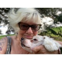 Logo of {{ company.company }}