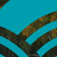 Logo of {{ company.company }}