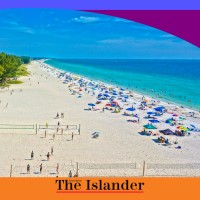 Logo of {{ company.company }}