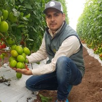 AGROSCIENCE Employee Oscar Montiel's profile photo