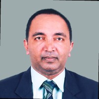 Geveo Australasia Employee Paul Anton's profile photo