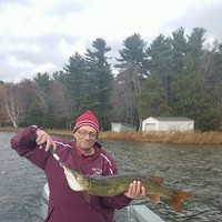 Steven Lauer Email & Phone Number