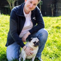 Stichting Dierenhospitaal en Ambulancedienst Den Haag e.o. a.k.a. Dierenambulance Den Haag Employee Mayke Kuijpers's profile photo