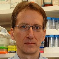 Istvan Botos Email & Phone Number