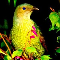 Worldoftrade Employee Madiha Ahsan's profile photo