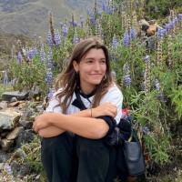 DILSTON PHYSIC GARDEN LTD Employee Harriet Pryer's profile photo