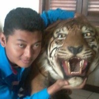 PT. Agus Suta Line Employee Sam Sumantri's profile photo