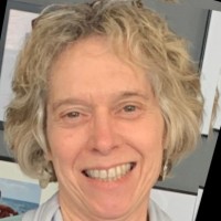 The Fretboard Journal Employee Gina Willis's profile photo