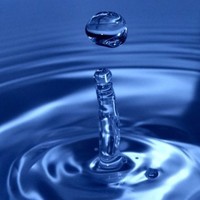 BradLee Employee Quim Ubach's profile photo