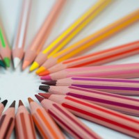 Natalia Sáez Email & Phone Number