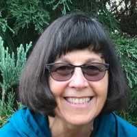 Colliers Employee Debra Kosky's profile photo