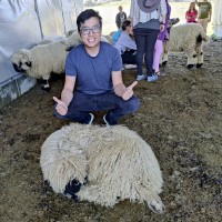 Pie (pie.org) Employee Richard Truong's profile photo