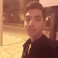 Upwork Employee Omar Lasheen's profile photo