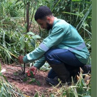 GHB Revegetação Ambiental Ltda Employee Guilherme Soares Moreira's profile photo