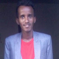 SHOP Employee Dawit Tadewose's profile photo