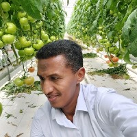 Mohammed Omer Email