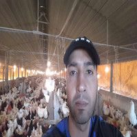 National Feed and Flour Production & Marketing Co LLC Employee Eng. Kadi's profile photo
