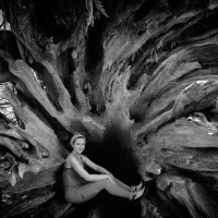 Freelance Writer Employee Katie O'Reilly's profile photo