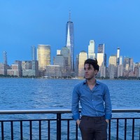 Lorenzo Brunelli Email