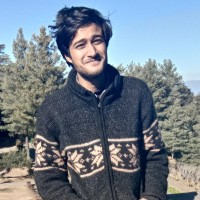 Vikram Negi Email