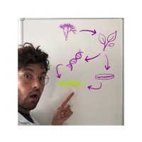 Linéa Semences Employee Sylvain Lecomte's profile photo
