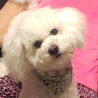 Andrews Powder Coating Inc Employee Matisse Riley's profile photo