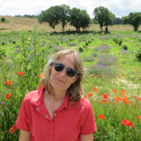 GeoDyne Limited Employee Lisa Daniels's profile photo