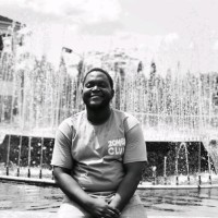 Michael Ogunlowo Email