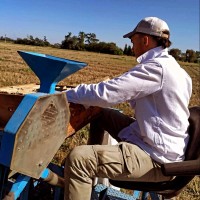 Luca E. Visca's profile photo