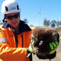 Frontline Electrical Employee Damien Dicker's profile photo