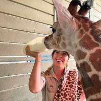 San Diego Zoo Safari Park Employee Lily Harwood's profile photo