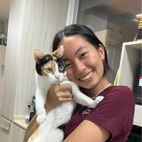 Western Australian Veterinary Emergency and Specialty Employee Angel Seah's profile photo