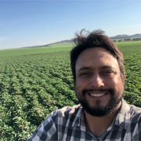 Kaiima Seeds Employee Henrique Martins's profile photo