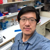 Xiaofan Li Email & Phone Number