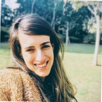 ExplorAds LTD Employee Shay Segev's profile photo